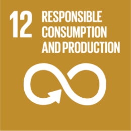 Commitment number 12 : Responsible consumption and production