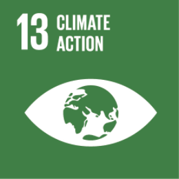 Commitment number 13 : Climate action
